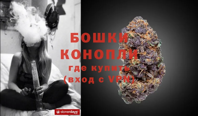 darknet наркотические препараты  Мензелинск  МАРИХУАНА White Widow  цена   MEGA сайт 